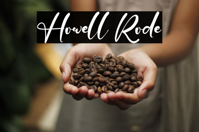 Howell Rode Example 3