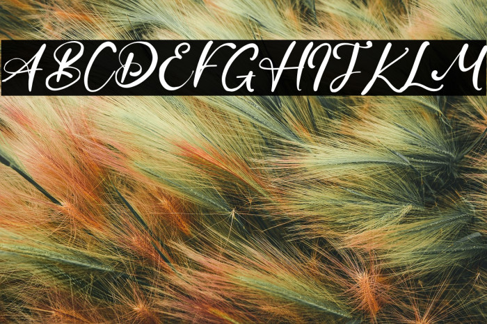 HowellRode Example 1