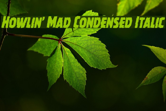 Howlin' Mad Condensed Italic Font examples