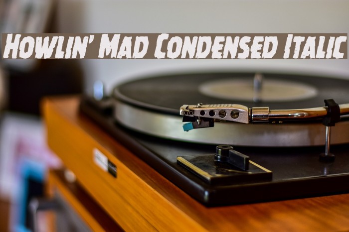 Howlin' Mad Condensed Italic Font examples