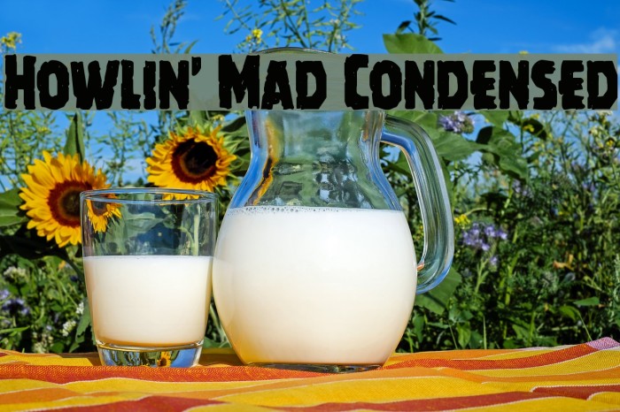 Howlin' Mad Condensed Font examples