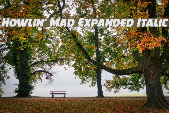 Howlin' Mad Expanded Italic Example 1