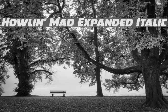 Howlin' Mad Expanded Italic Font examples