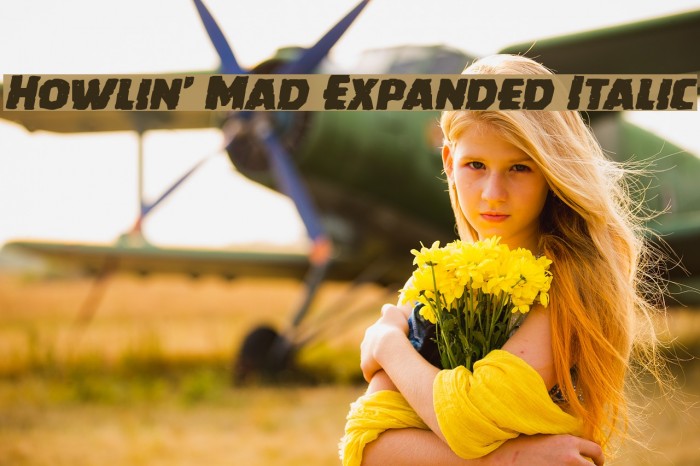 Howlin' Mad Expanded Italic Example 2