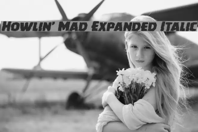Howlin' Mad Expanded Italic Font examples