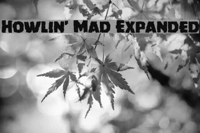 Howlin' Mad Expanded Font examples