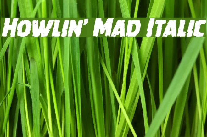 Howlin' Mad Italic Example 3