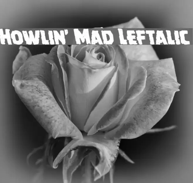 Howlin' Mad Leftalic Font examples