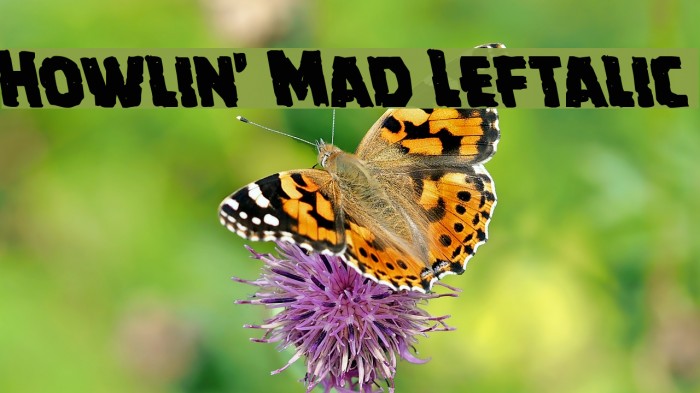 Howlin' Mad Leftalic Font examples