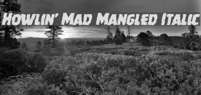 Howlin' Mad Mangled Italic Font examples