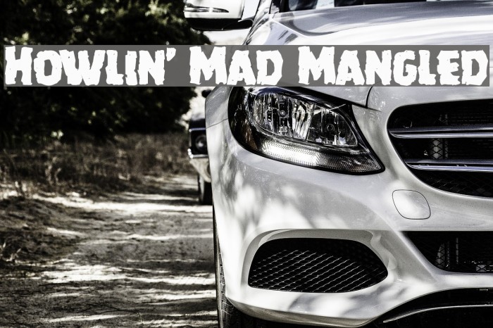 Howlin' Mad Mangled Font examples