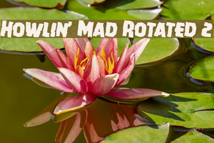 Howlin' Mad Rotated 2 Font examples