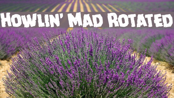 Howlin' Mad Rotated Font examples