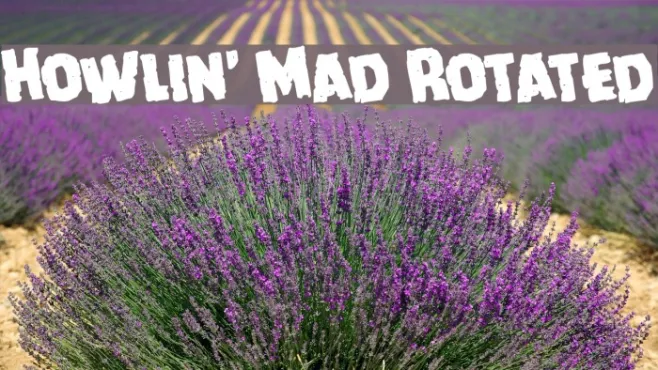 Howlin' Mad Rotated Example 2