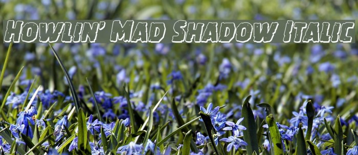 Howlin' Mad Shadow Italic Font examples