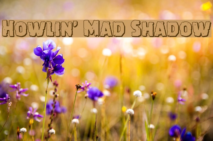 Howlin' Mad Shadow Font examples