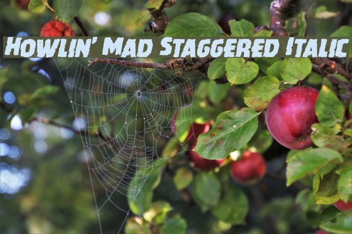 Howlin' Mad Staggered Italic Font examples