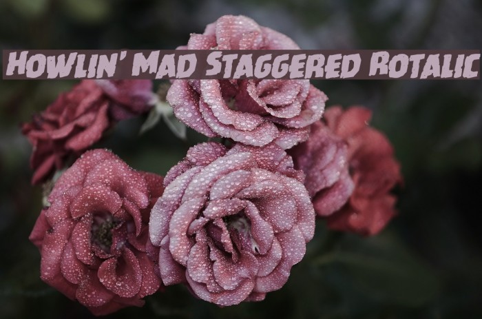 Howlin' Mad Staggered Rotalic Font examples