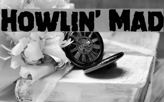 Howlin' Mad Font examples