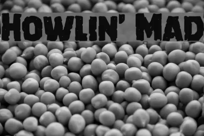 Howlin' Mad Font examples