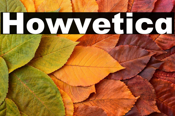Howvetica Example 1