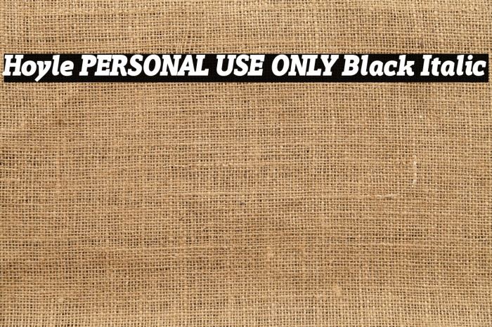 Hoyle PERSONAL USE ONLY Black Italic Example 1