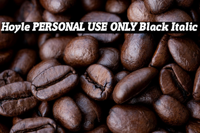 Hoyle PERSONAL USE ONLY Black Italic Example 2