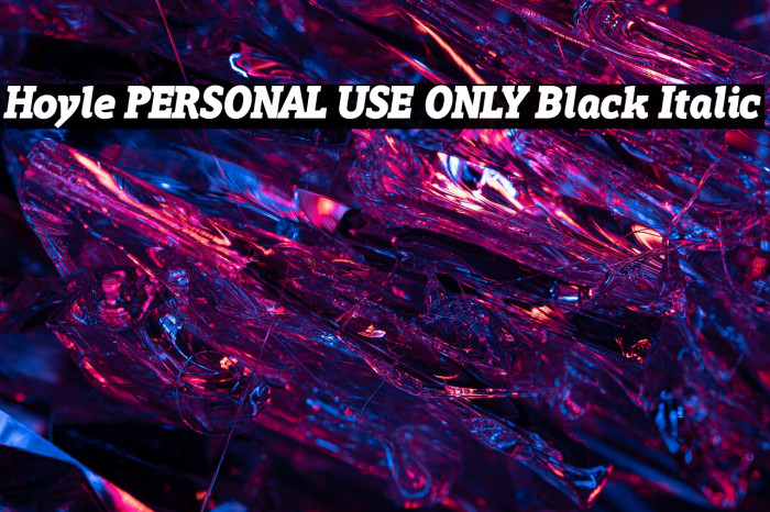 Hoyle PERSONAL USE ONLY Black Italic Example 3