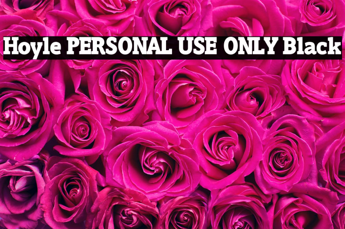 Hoyle PERSONAL USE ONLY Black Example 1