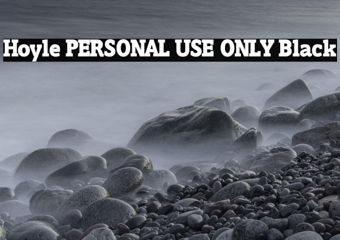 Hoyle PERSONAL USE ONLY Black Example 3