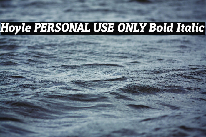 Hoyle PERSONAL USE ONLY Bold Italic Example 3