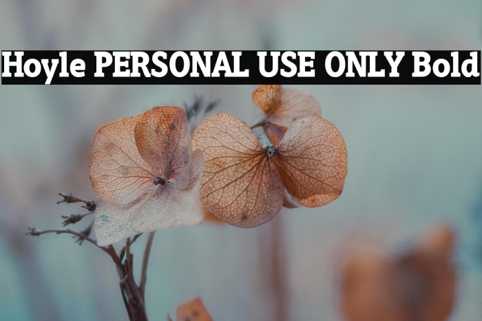 Hoyle PERSONAL USE ONLY Bold Example 2