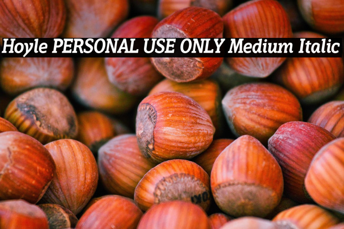 Hoyle PERSONAL USE ONLY Medium Italic Example 1