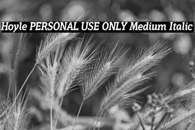 Hoyle PERSONAL USE ONLY Medium Italic Font examples