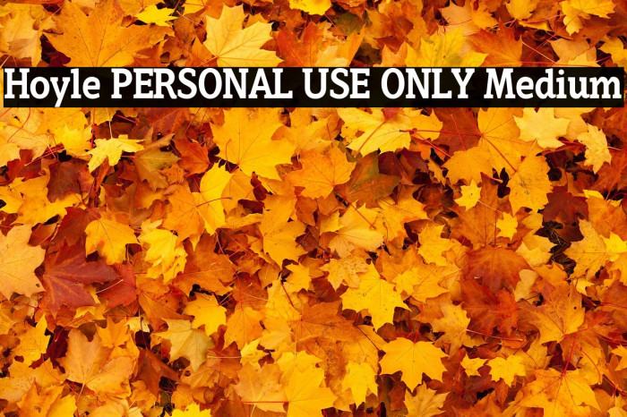 Hoyle PERSONAL USE ONLY Medium Example 2