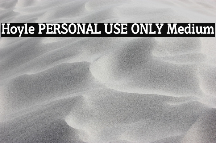 Hoyle PERSONAL USE ONLY Medium Example 3