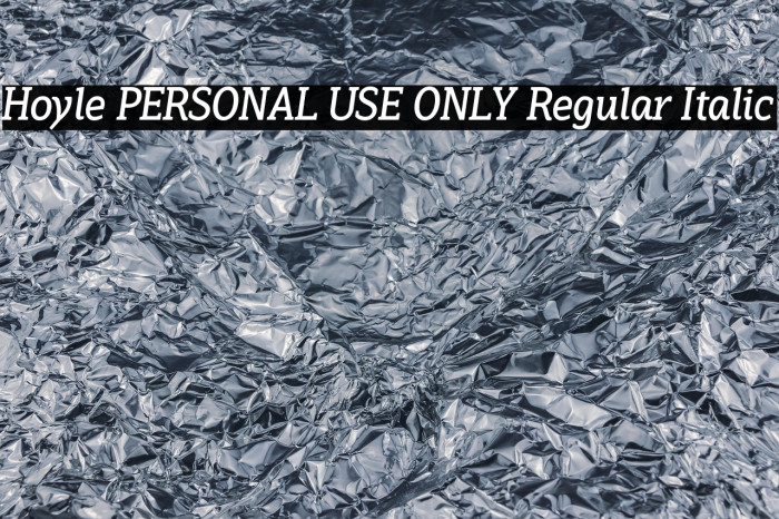 Hoyle PERSONAL USE ONLY Regular Italic Example 2