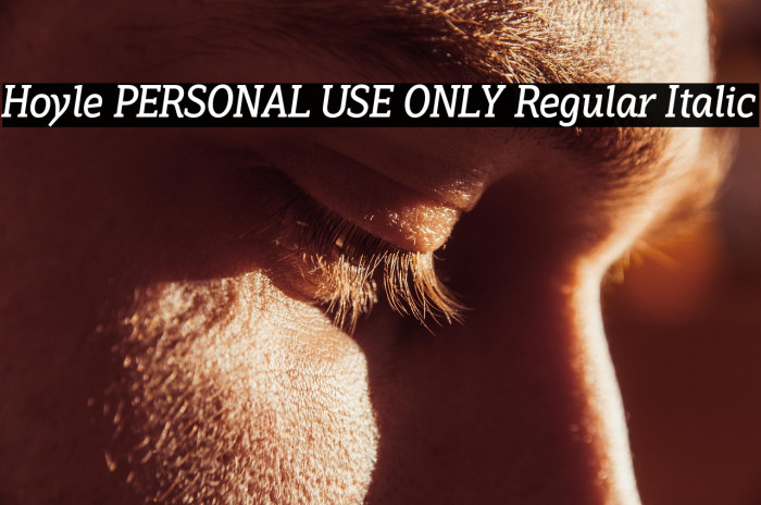 Hoyle PERSONAL USE ONLY Regular Italic Example 3