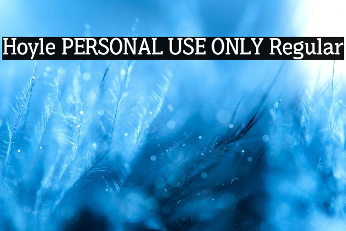 Hoyle PERSONAL USE ONLY Regular Example 1