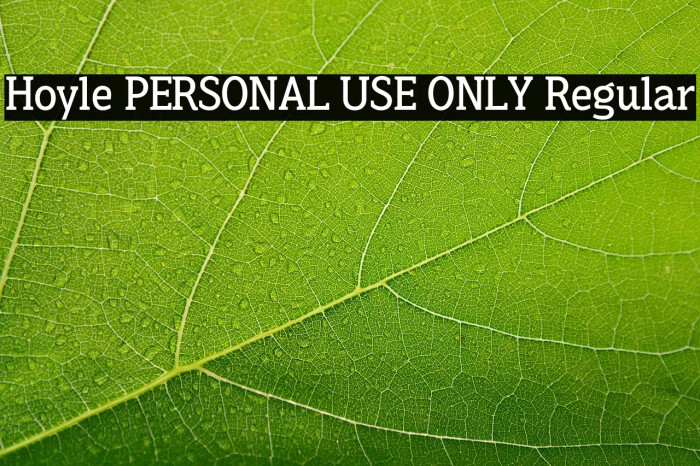 Hoyle PERSONAL USE ONLY Regular Example 2