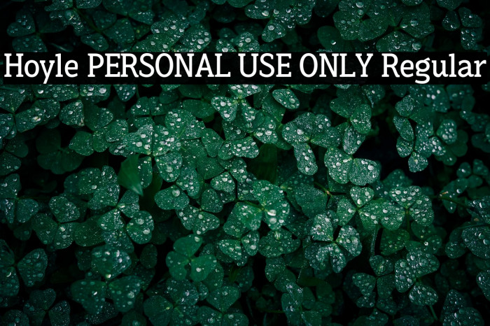 Hoyle PERSONAL USE ONLY Regular Example 3