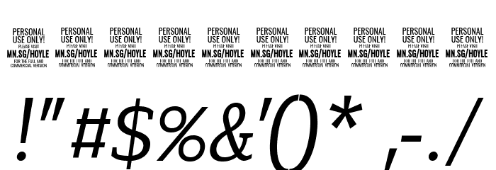 Hoyle PERSONAL USE ONLY Thin Italic Font OTHER CHARS