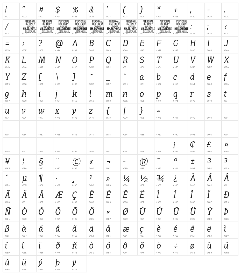 Hoyle PERSONAL USE ONLY Thin Italic Character Map
