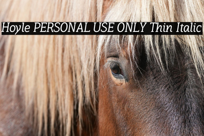 Hoyle PERSONAL USE ONLY Thin Italic Example 1
