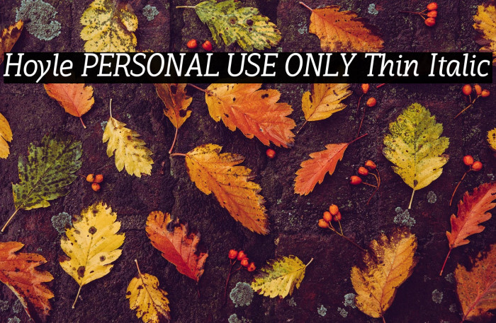 Hoyle PERSONAL USE ONLY Thin Italic Example 3