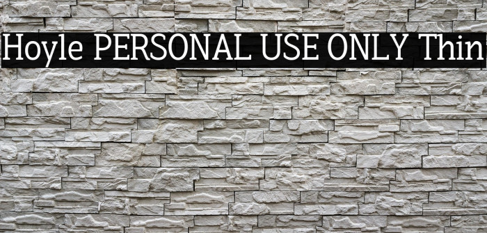 Hoyle PERSONAL USE ONLY Thin Example 3