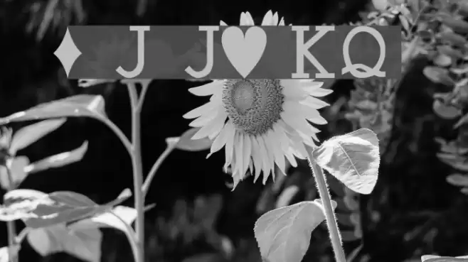 Hoyle Playing Cards Font examples