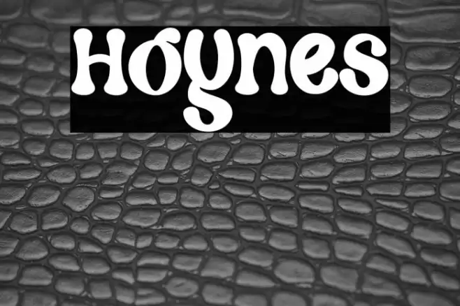 Hoynes Font examples