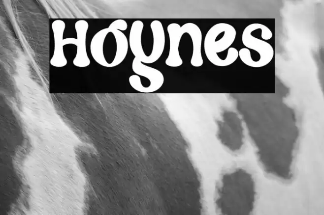 Hoynes Font examples