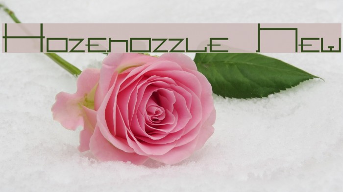 Hozenozzle New Font examples